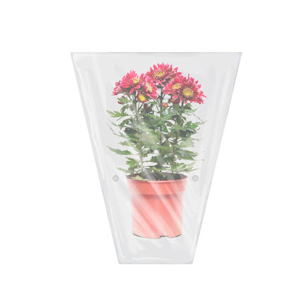 Цветочная упаковка